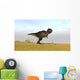 Tyrannosaurus Rex Grassy Field Wall Decal Design 5