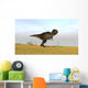 Tyrannosaurus Rex Grassy Field Wall Decal Design 5