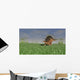 Kentrosaurus Walking across Grassy Wall Decal Design 4