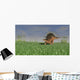 Kentrosaurus Walking across Grassy Wall Decal Design 4