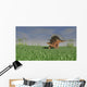 Kentrosaurus Walking across Grassy Wall Decal Design 4