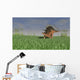 Kentrosaurus Walking across Grassy Wall Decal Design 4