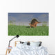Kentrosaurus Walking across Grassy Wall Decal Design 4