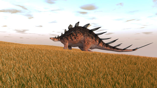 Kentrosaurus Walking across Grassy Wall Decal Design 2