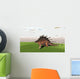 Kentrosaurus Walking across Grassy Wall Decal Design 1