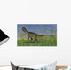 Monolophosaurus Walking across Grassy Wall Decal Design 4