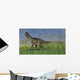 Monolophosaurus Walking across Grassy Wall Decal Design 4