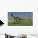 Monolophosaurus Walking across Grassy Wall Decal Design 4