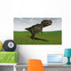 Tyrannosaurus Rex Hunting for Wall Decal Design 1