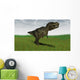 Tyrannosaurus Rex Hunting for Wall Decal Design 1