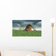 Kentrosaurus Grazing Prehistoric Grasslands Wall Decal