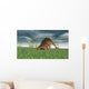 Kentrosaurus Grazing Prehistoric Grasslands Wall Decal