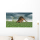 Kentrosaurus Grazing Prehistoric Grasslands Wall Decal