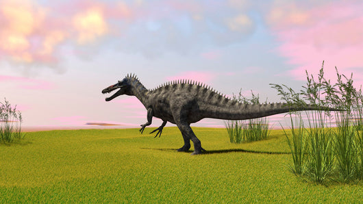 Suchomimus Walking across Grassy Wall Decal Design 2