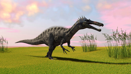 Suchomimus Walking across Grassy Wall Decal Design 1