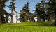 Monolophosaurus Running across Grassy Wall Decal Design 1