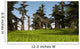 Monolophosaurus Running across Grassy Wall Decal Design 1