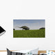 Brachytrachelopan Walking across Prehistoric Wall Decal Design 3