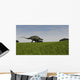 Brachytrachelopan Walking across Prehistoric Wall Decal Design 3