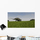 Brachytrachelopan Walking across Prehistoric Wall Decal Design 3