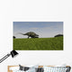 Brachytrachelopan Walking across Prehistoric Wall Decal Design 3