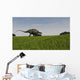 Brachytrachelopan Walking across Prehistoric Wall Decal Design 3