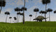 Brachytrachelopan Walking across Grassy Wall Decal