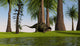 Brachytrachelopan Walking along Edge Wall Decal