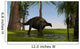 Brachytrachelopan Wading Shallow Water Wall Decal