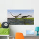 Group Coelophysis Dinosaurs Running Wall Decal