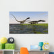 Group Coelophysis Dinosaurs Running Wall Decal