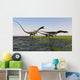 Group Coelophysis Dinosaurs Running Wall Decal