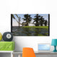 Two Coelophysis Dinosaurs Running Wall Decal Design 2