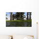 Two Coelophysis Dinosaurs Running Wall Decal Design 1