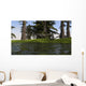 Two Coelophysis Dinosaurs Running Wall Decal Design 1