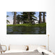 Two Coelophysis Dinosaurs Running Wall Decal Design 1