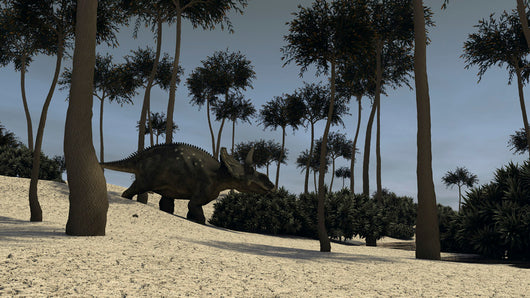 Triceratops Prehistoric Environment Wall Decal Design 1
