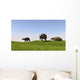 Eurohippus Grazing Prehistoric Grasslands Wall Decal