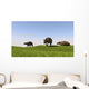 Eurohippus Grazing Prehistoric Grasslands Wall Decal