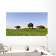 Eurohippus Grazing Prehistoric Grasslands Wall Decal