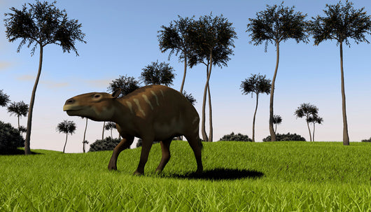Eurohippus Walking across Grassy Wall Decal
