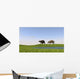 Eurohippus Grazing along Swamp Wall Decal