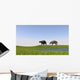 Eurohippus Grazing along Swamp Wall Decal
