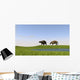 Eurohippus Grazing along Swamp Wall Decal