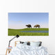 Eurohippus Grazing along Swamp Wall Decal