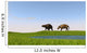 Eurohippus Grazing along Swamp Wall Decal