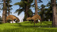 Two Eurohippus Grazing along Wall Decal