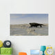 Cotylorhynchus along Shores Prehistoric Wall Decal Design 3