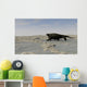 Cotylorhynchus along Shores Prehistoric Wall Decal Design 3