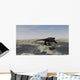Cotylorhynchus along Shores Prehistoric Wall Decal Design 2